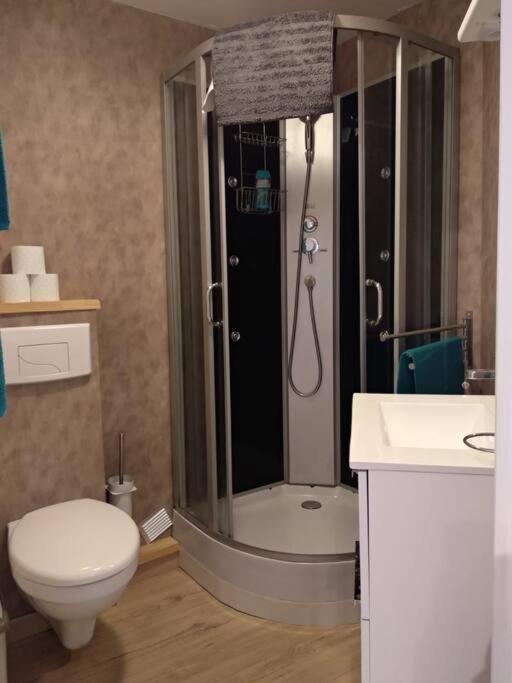 Appartement Centre Ville Rose Toulouse Exterior photo
